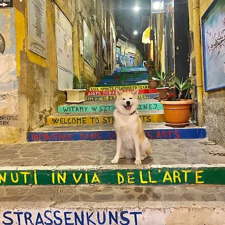 فندق مبيت وإفطار Baciato Dal Sole أغريجنتو